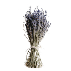Bouquet de lavande