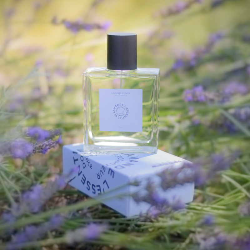 Lavande d'hiver - Eau de parfum à la Lavande
