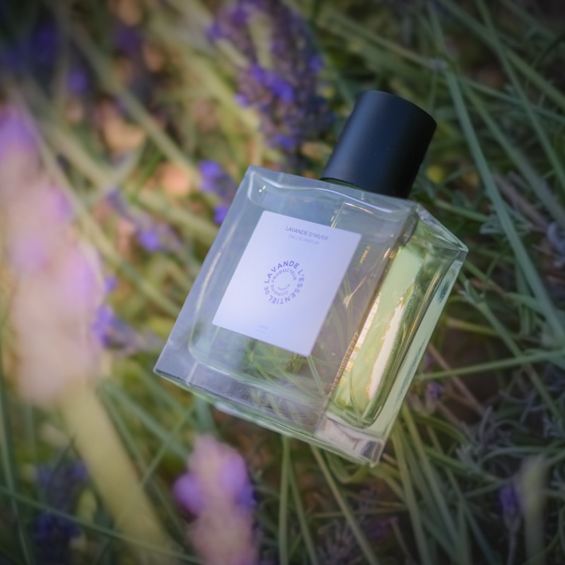 Lavande d'hiver - Eau de parfum naturelle à la Lavande