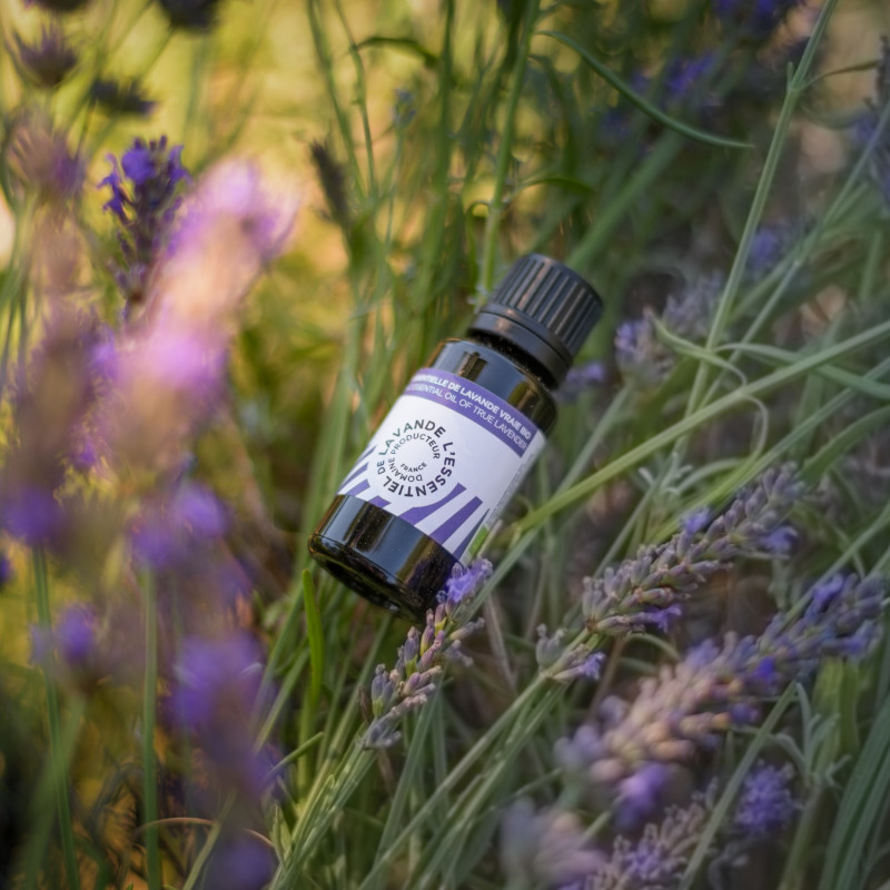 Pure huile essentielle de Lavande Vraie Bio (goutte à goutte 15ml)
