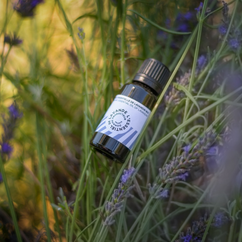 Pure huile essentielle de Lavandin Bio (goutte à goutte 15ml)