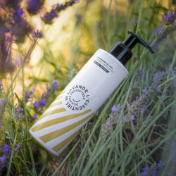 Shampoing, au miel de Lavande Bio (flacon 200ml)