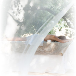 Massage relaxant, dans les champs de Lavande