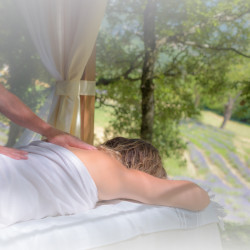 Massage relaxant, dans les champs de Lavande