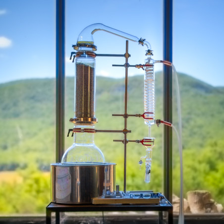 Visite découverte de la Lavande, avec démonstration de distillation