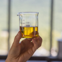 Atelier Do It Yourself - Confection d'un produit cosmétique Bio, à base de Lavande