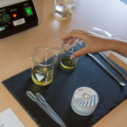 Atelier Do It Yourself - Confection d'un produit cosmétique Bio, à base de Lavande