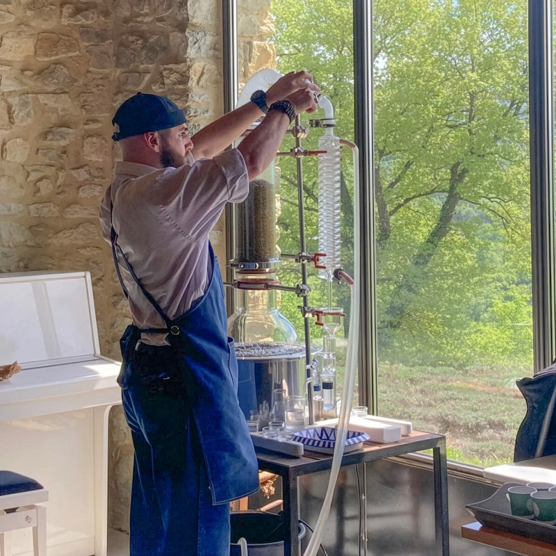 Visite découverte de la Lavande, avec démonstration de distillation
