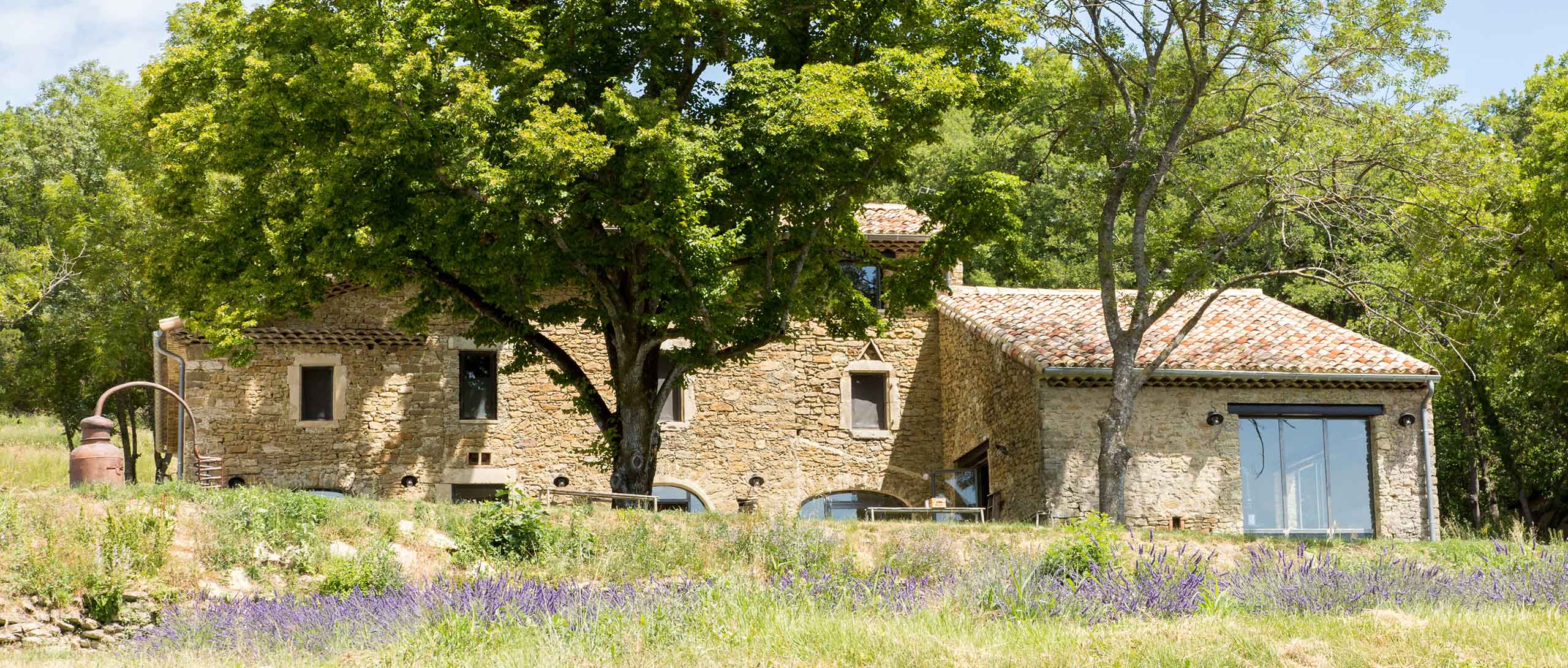 Le Domaine, où le Bio est Roi !​
