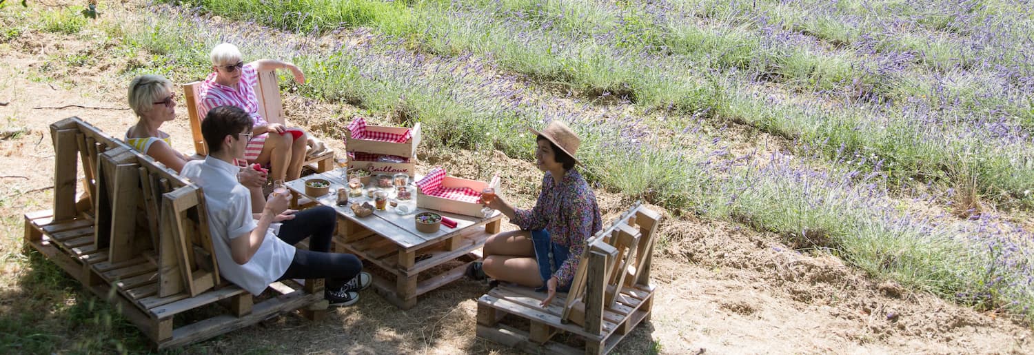  Pourquoi pas un brunch dans les lavandes ?