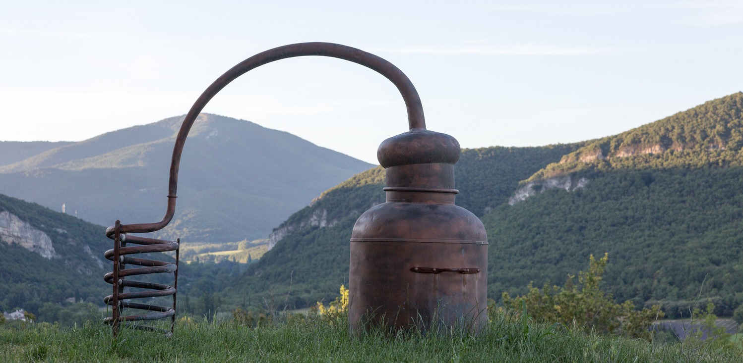 Alambic ancien : distillation de lavande