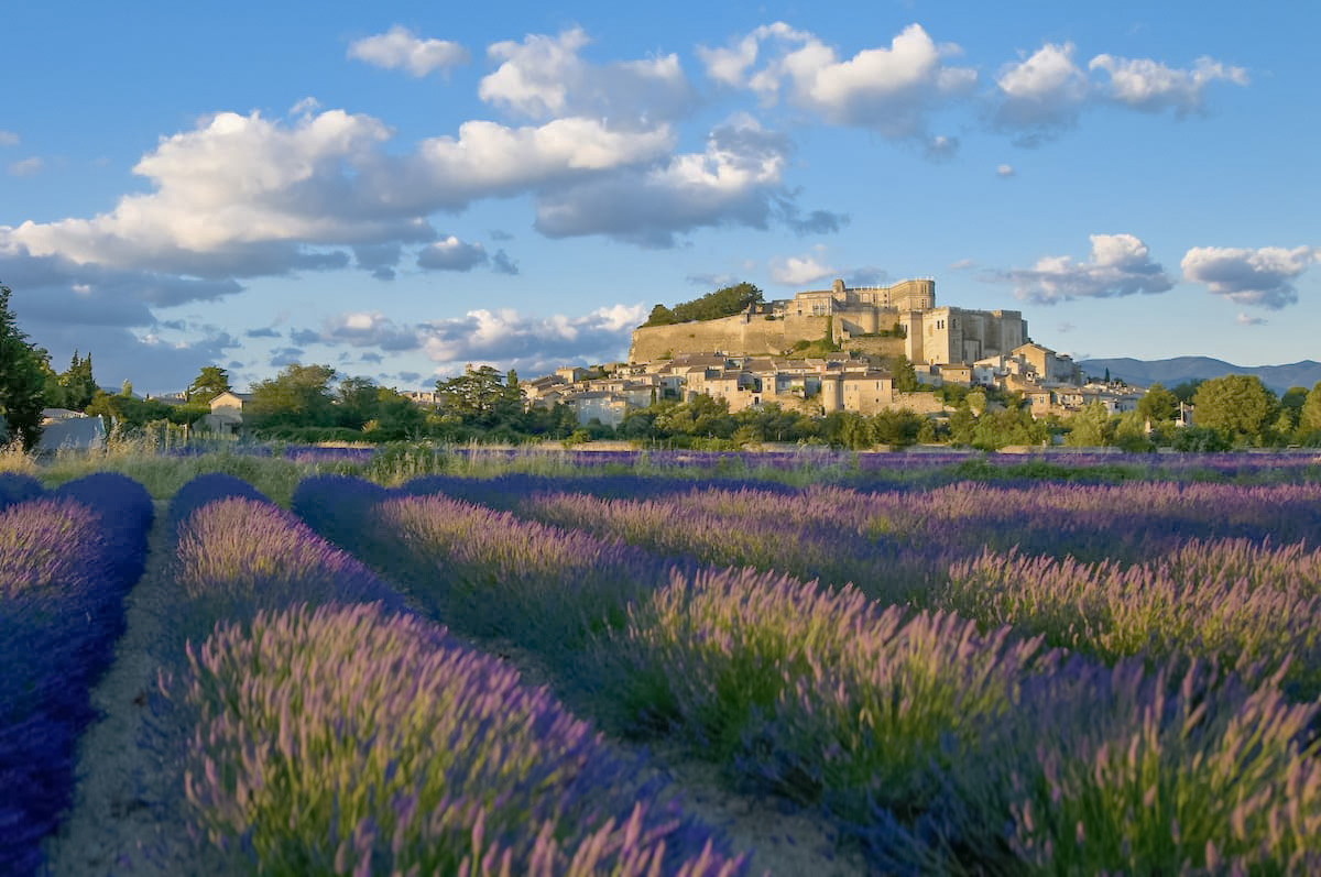 Week-end lavande en drôme provençale​