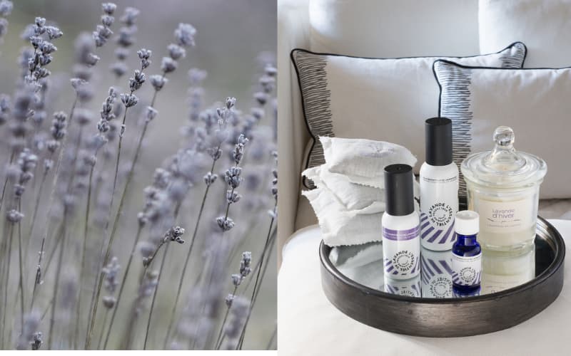 Rituel sommeil By L’Essentiel de Lavande 
