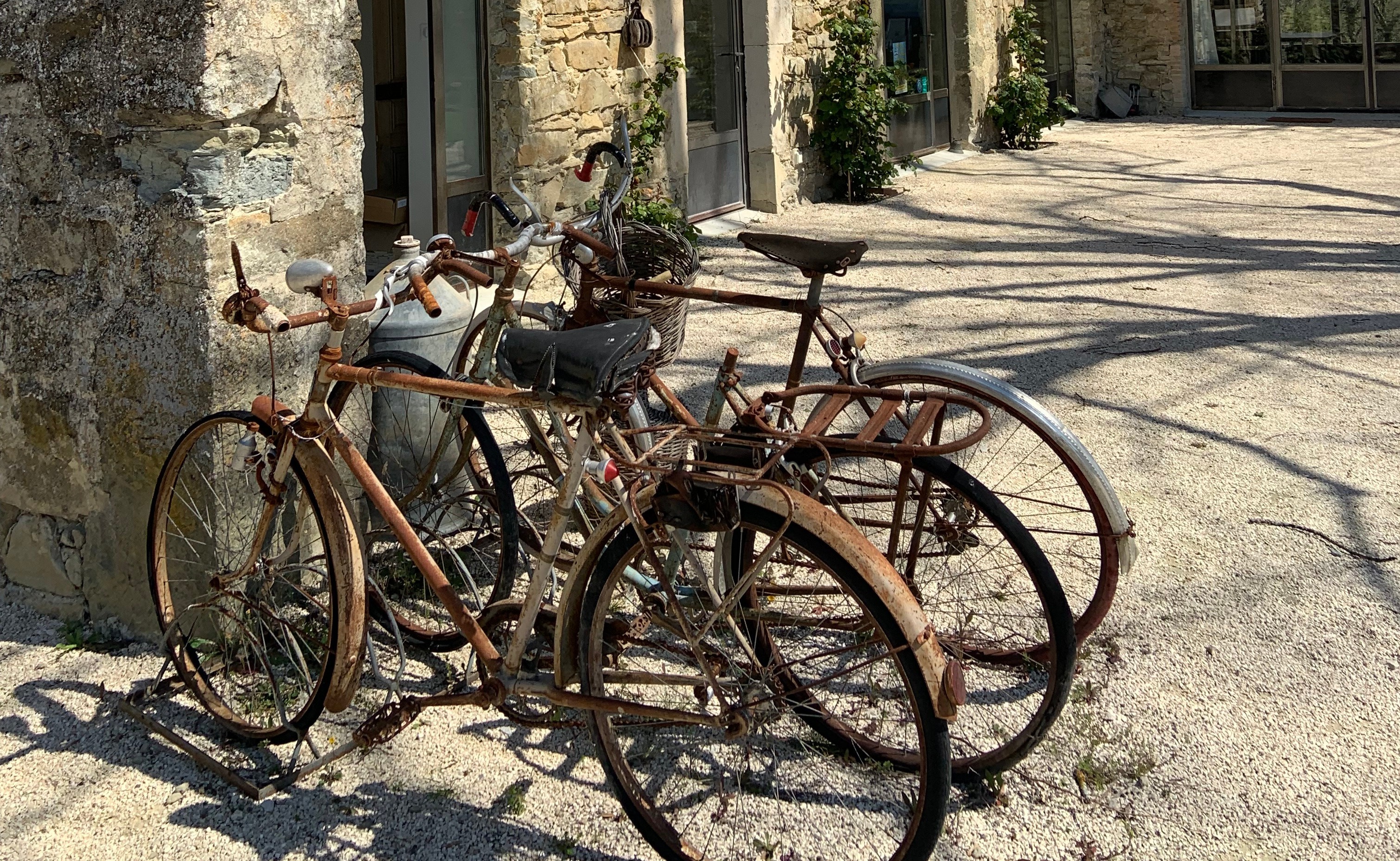 Labellisation Accueil Vélo : passion slow tourisme à L’Essentiel de Lavande