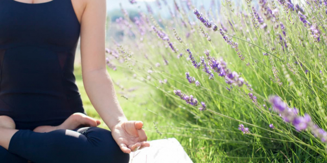 Les bienfaits du yoga au coeur des Lavandes