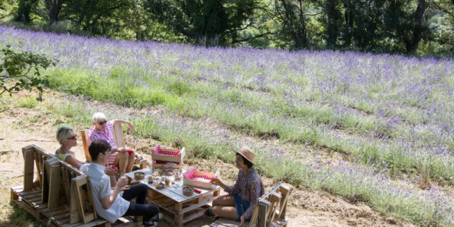 Pourquoi pas un brunch dans les Lavandes ?