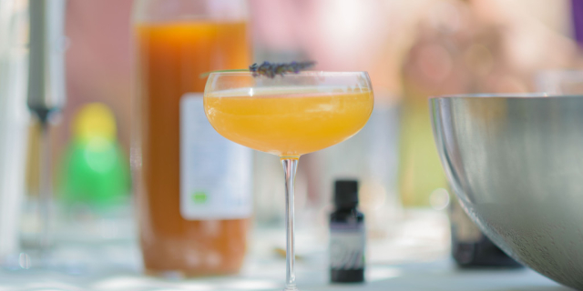 5 recettes faciles à la lavande pour sublimer votre cuisine et apporter un air de Provence chez vous