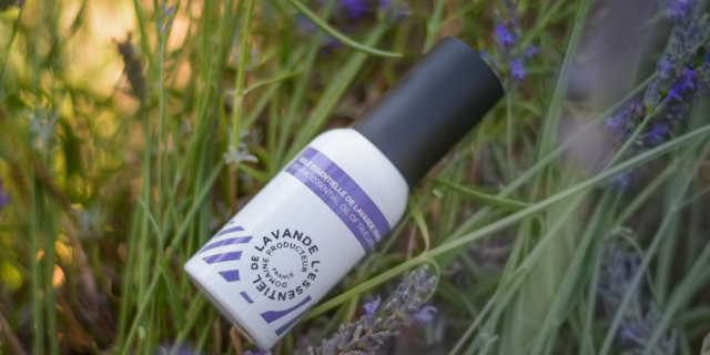 L’huile essentielle de lavande : guide complet pour une utilisation optimale, du diffuseur à votre bien-être