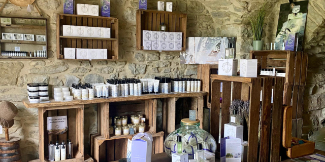 Top 5 des produits à la lavande indispensables pour une routine bien-être naturelle et complète