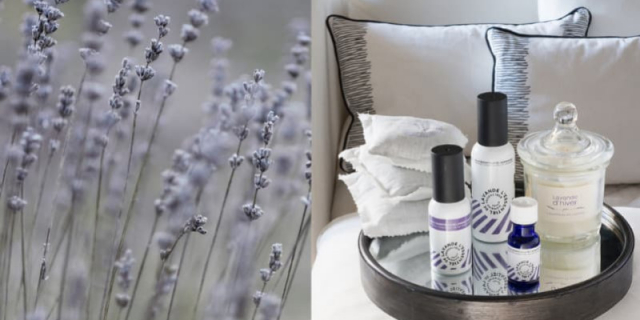 Rituel sommeil by “L’essentiel de Lavande”